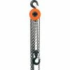 Global Industrial™ Manual Chain Hoist 10 Foot Lift 2,000 Pound Capacity