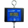 Intercomp 100772 CS200 Light-Duty Hanging Scale, 250 lb x .1 lb
